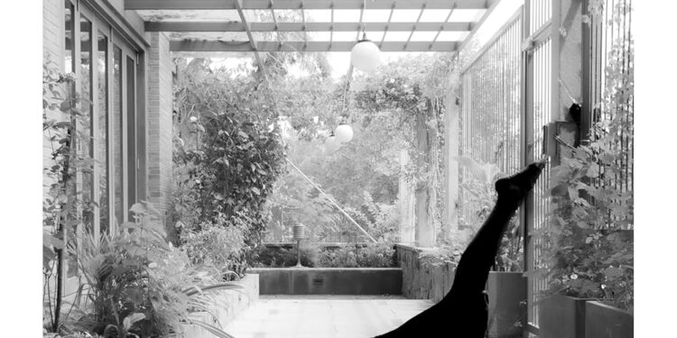 Empower Yourself with Sampoorna Yoga: Stretch, Strengthen and Shine Empower Yourself with Sampoorna Yoga: Stretch, Strengthen and Shine