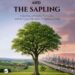 The Oak and The Sapling: A Journey of Family, Fortitude, and the Quiet Heroism of Ordinary Lives