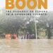 Curse or Boon: The Paradox of Flood