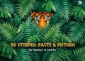 98 Stripes — Facts and Fiction