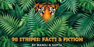 98 Stripes — Facts and Fiction