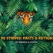 98 Stripes — Facts and Fiction