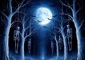 Tom Gleaners And The Hidden Truth