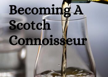 Becoming A Scotch Connoisseur Becoming A Scotch Connoisseur